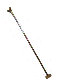 $Trophy image